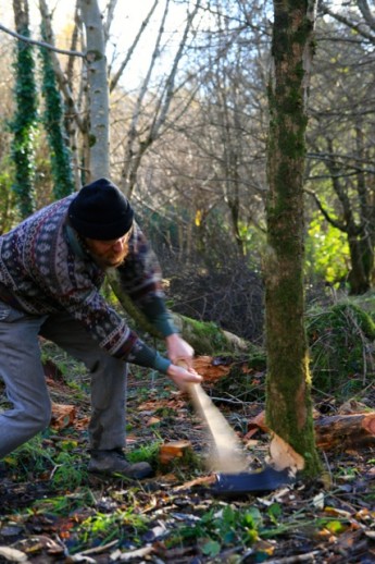 Coppice course