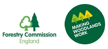 makingwoodswork